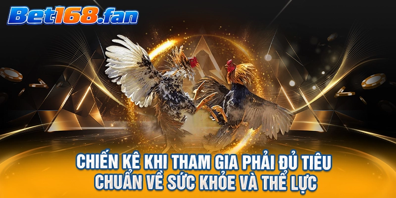 Chiến kê khi tham gia phải đủ tiêu chuẩn về sức khỏe và thể lực