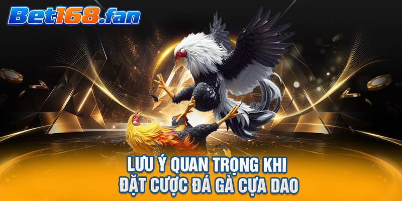 Lưu ý quan trọng khi đặt cược đá gà cựa dao