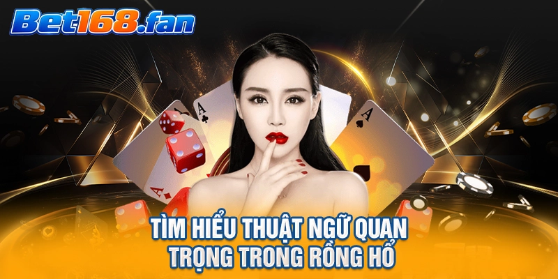 Tìm hiểu thuật ngữ quan trọng trong Rồng Hổ